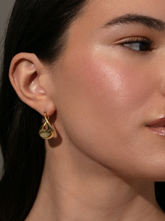 Pendientes de cisne