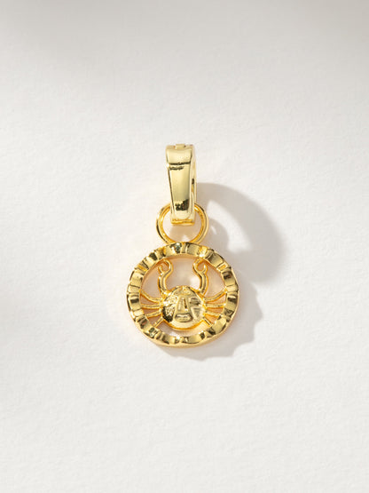 Zodiac Charm