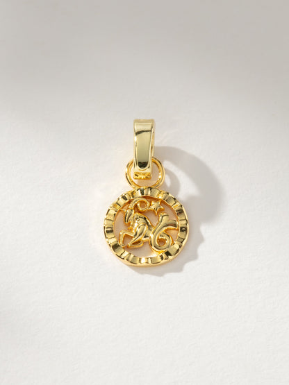 Zodiac Charm
