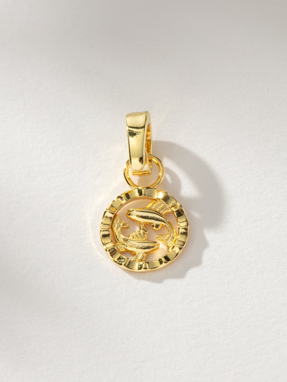 Zodiac Charm