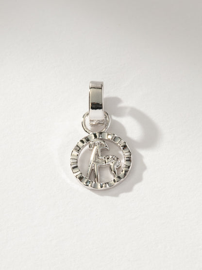 Zodiac Charm