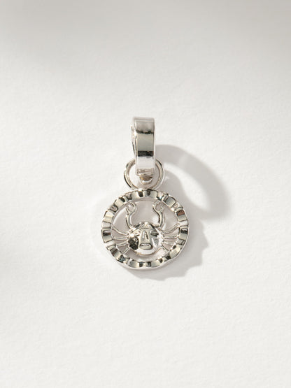 Zodiac Charm