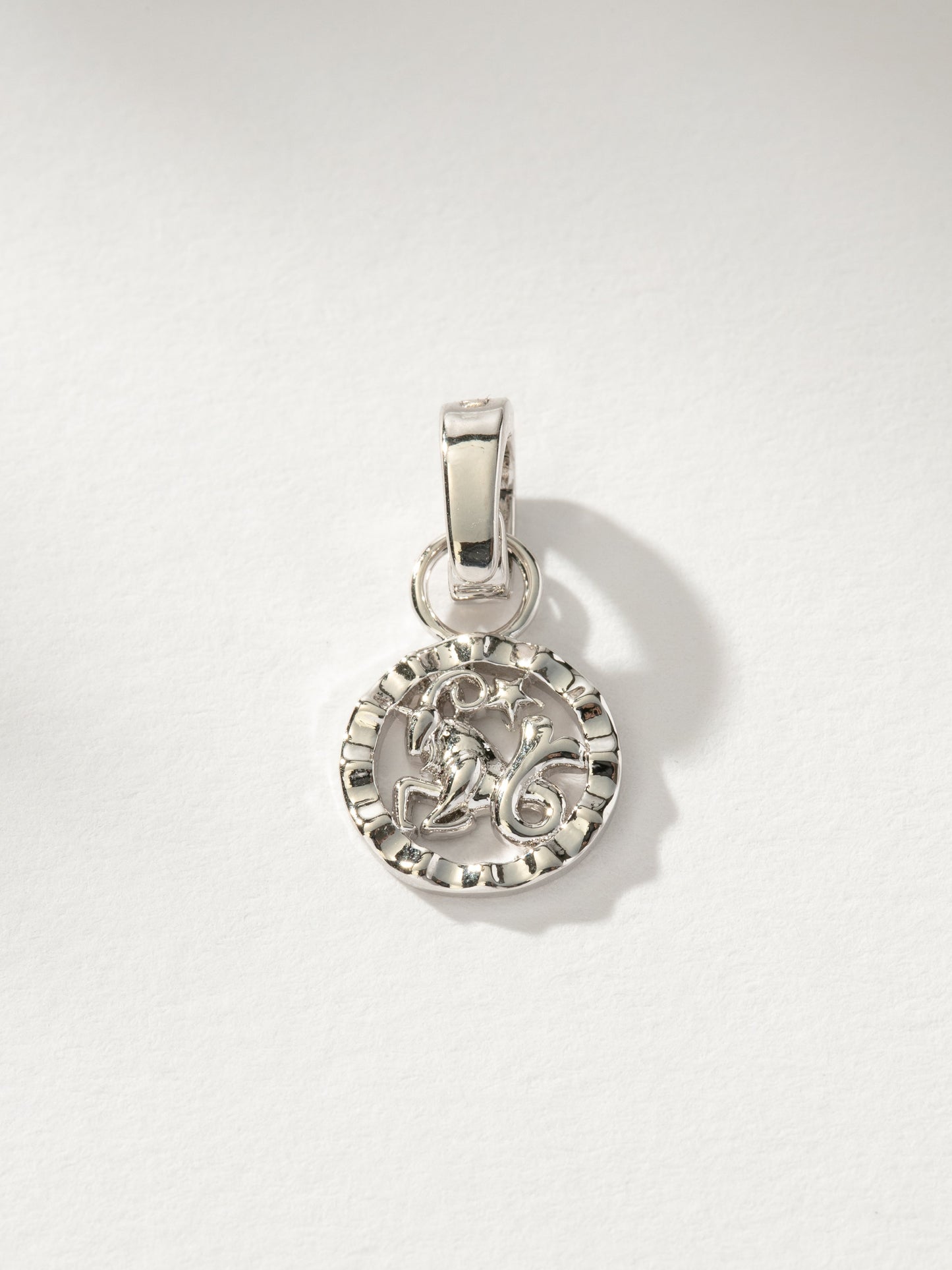 Zodiac Charm
