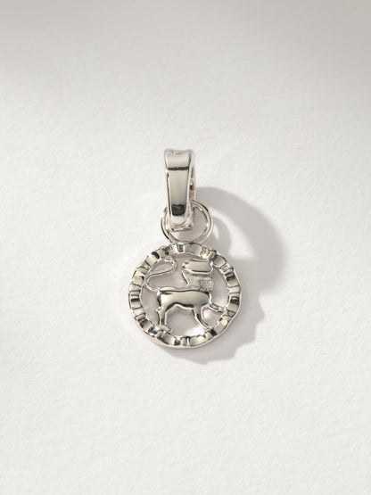 Zodiac Charm