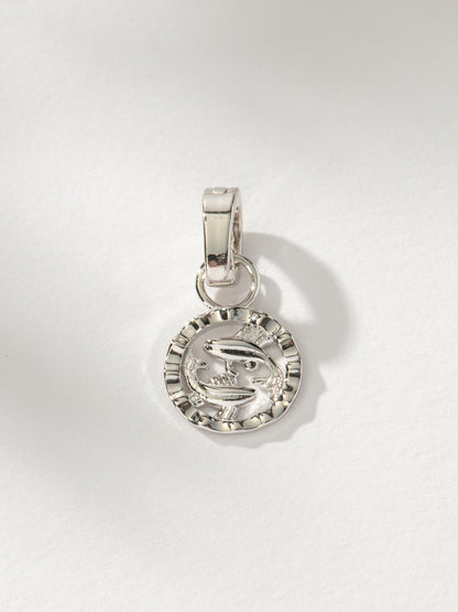 Zodiac Charm
