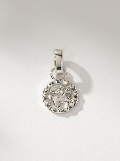 Zodiac Charm