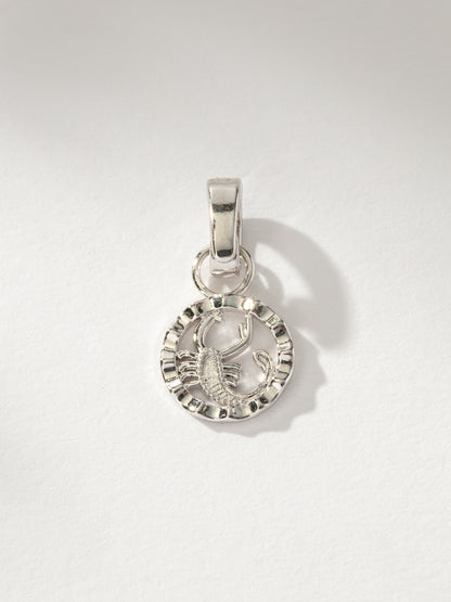 Zodiac Charm