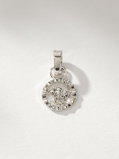Zodiac Charm