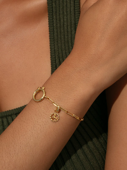 Zodiac Charm