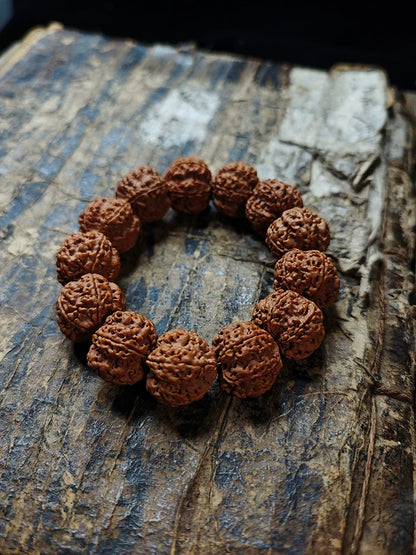 Nepal Dragon Claw Large King Kong Bodhi Bead Bracelet - Touch Bling