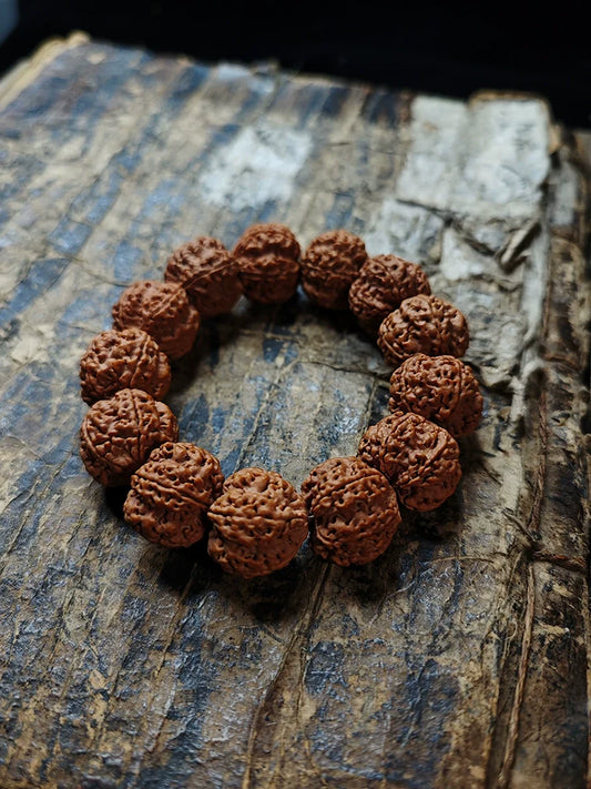 Nepal Dragon Claw Large King Kong Bodhi Bead Bracelet - Touch Bling