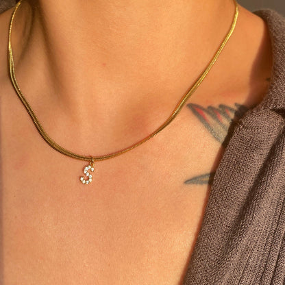 Collar con inicial de espiga
