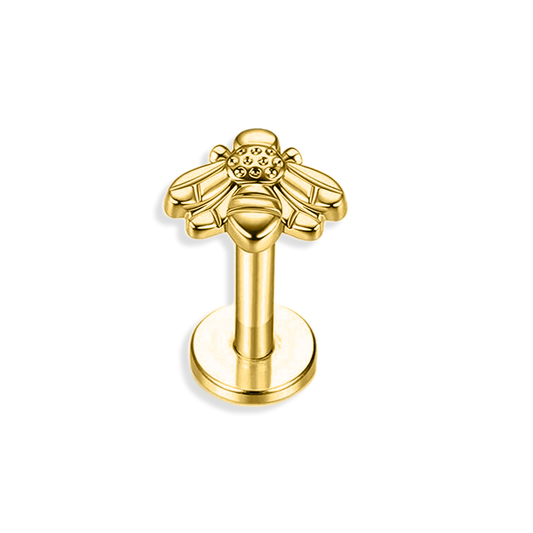 Cute Labret Studs | 16g