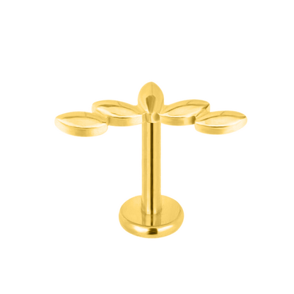 Süße Labret-Ohrstecker | 16g