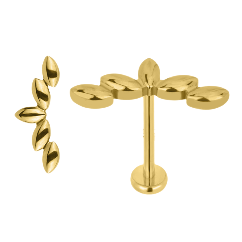 Süße Labret-Ohrstecker | 16g