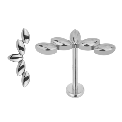 Süße Labret-Ohrstecker | 16g