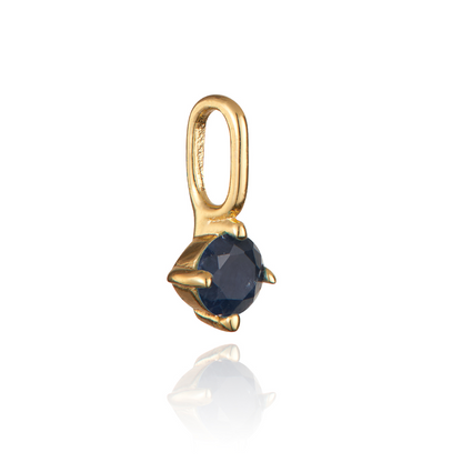 Gold Small Individual Birthstone Charm
