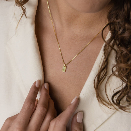 Mini collar con placa de huellas dactilares