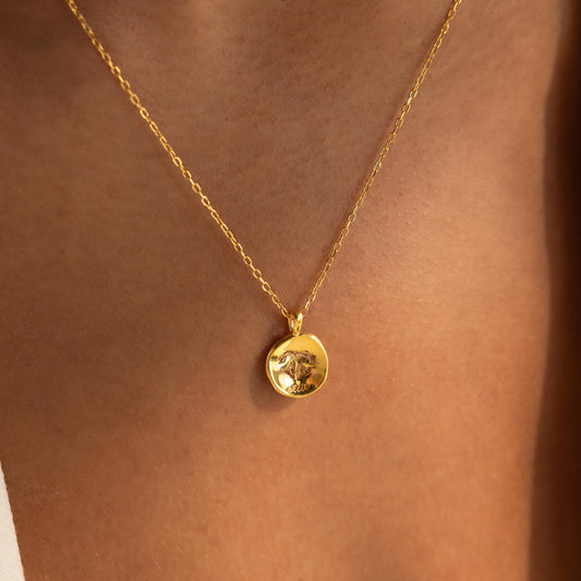 Collar de monedas con huella de pata