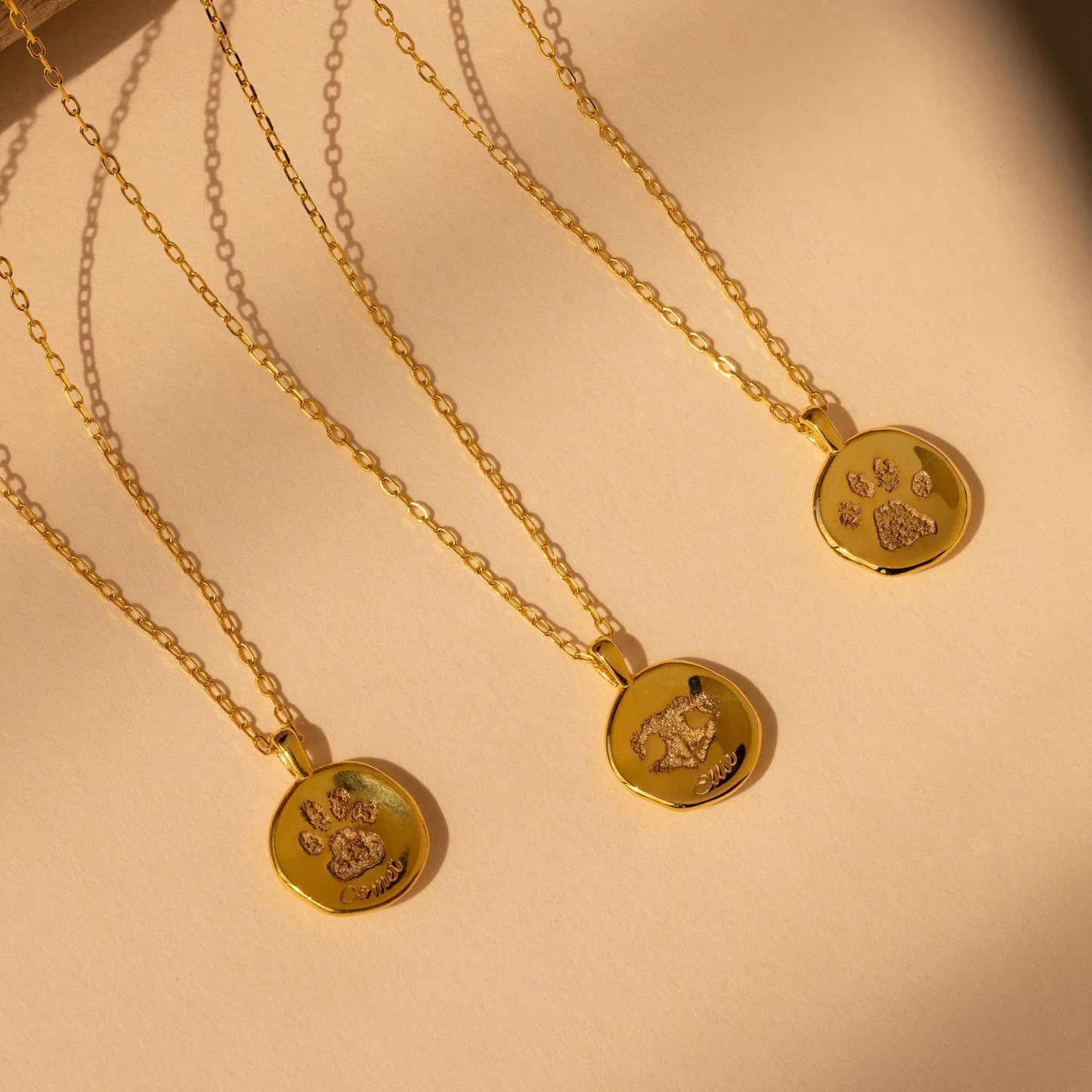 Collar de monedas con huella de pata