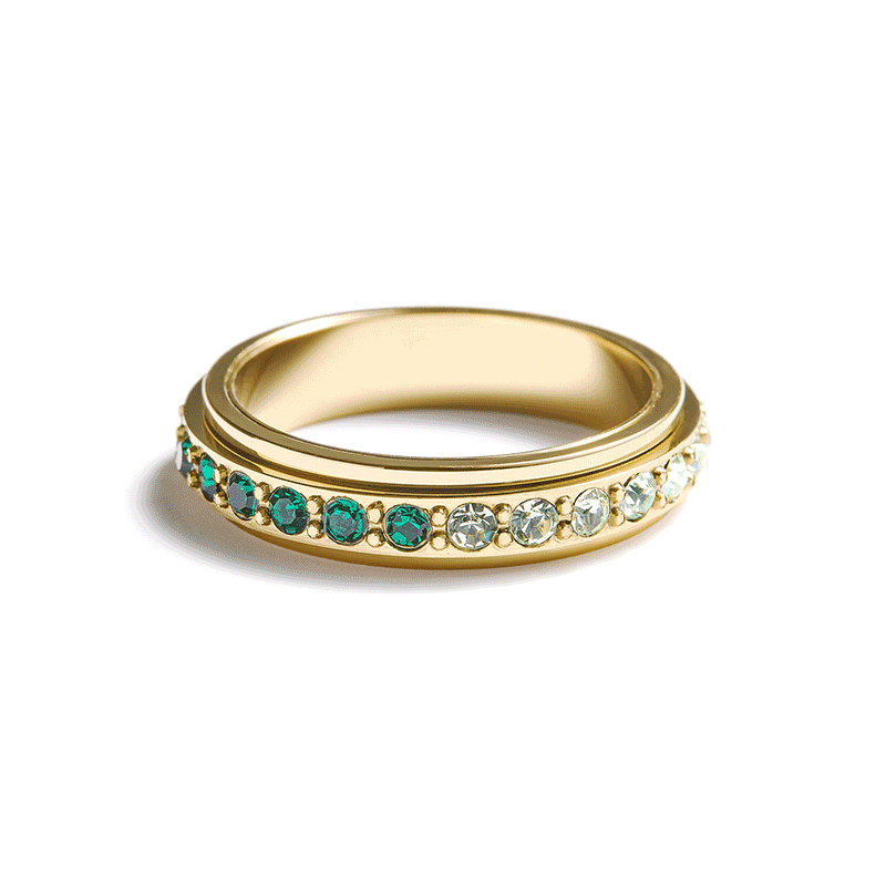 Anillo giratorio de colores significativos
