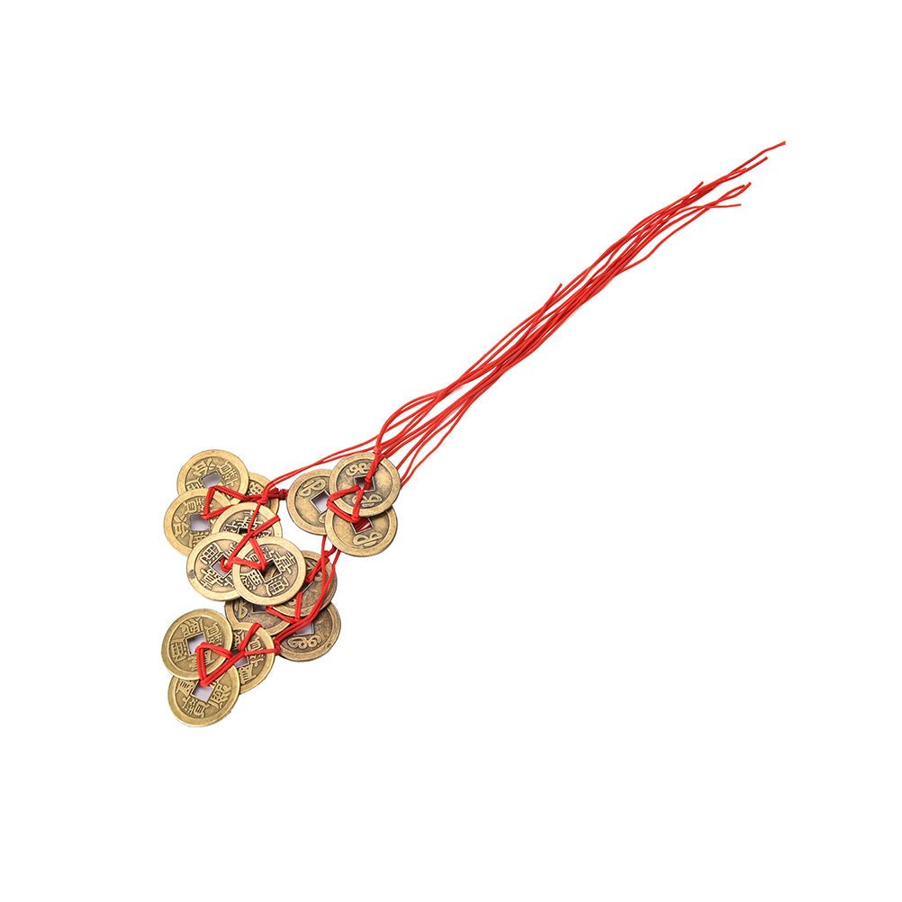 WEALTH AND SUCCESS LUCKY COINS